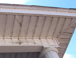 8 300x227 - Gutter Washing