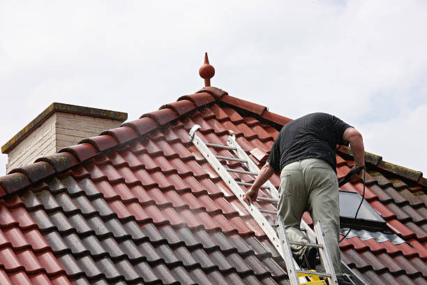 172967388 - Roof Cleaning